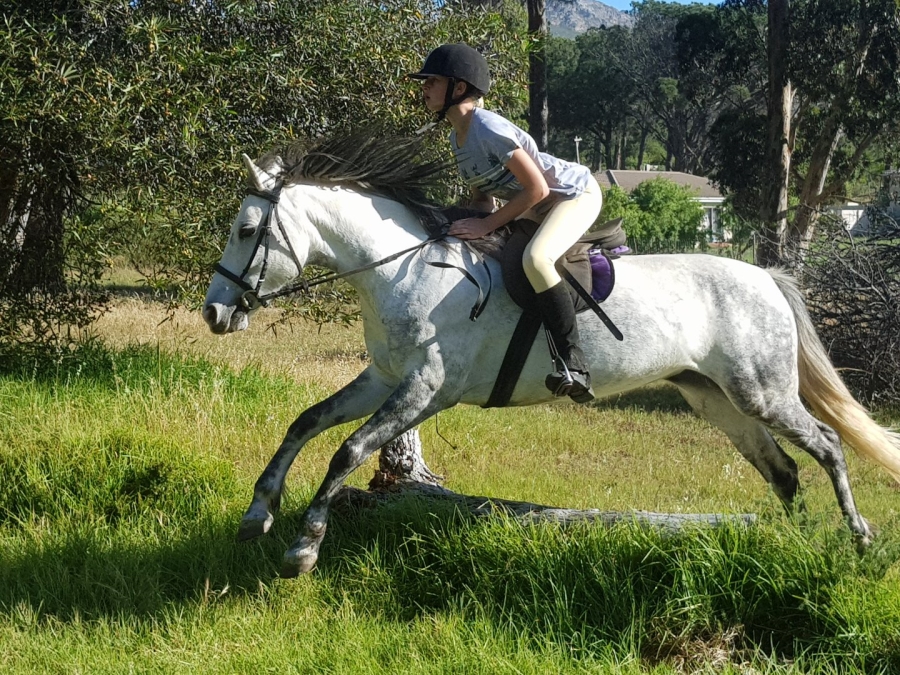 To Let 2 Bedroom Property for Rent in High Riding Country Estate Western Cape
